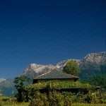 Home Palampur